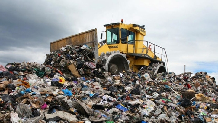 Image: Steve Morgan at WWF UK